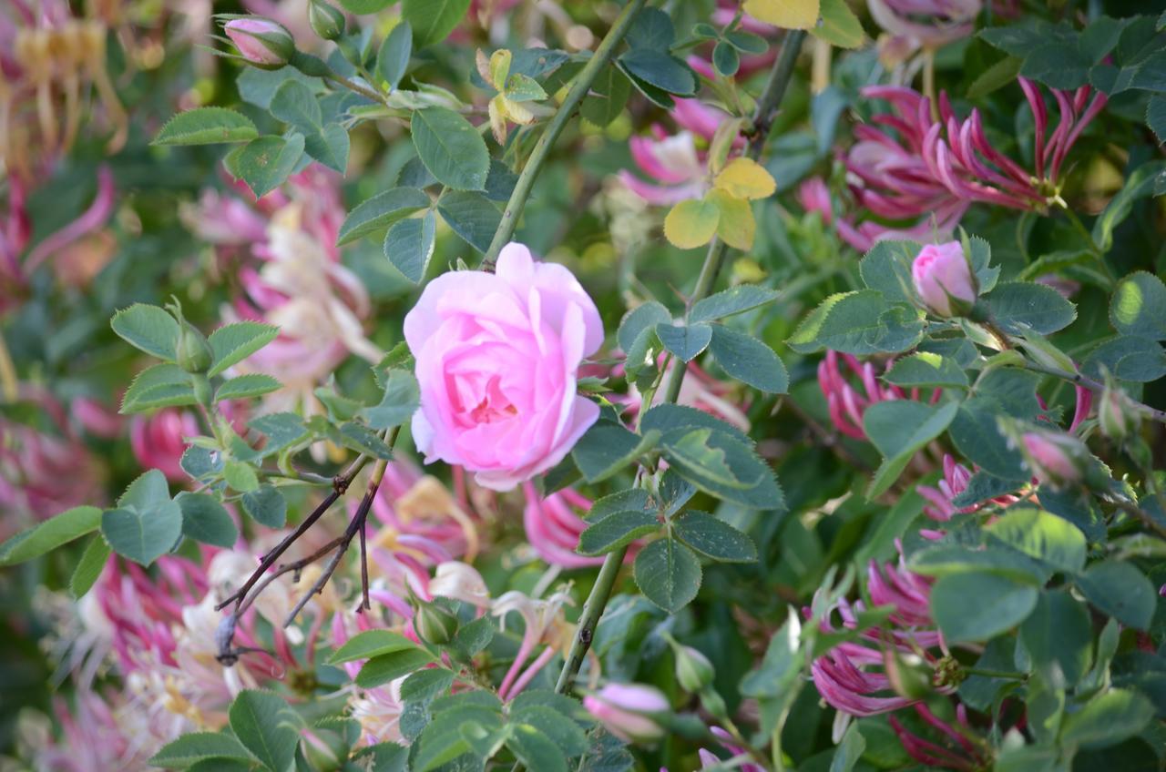 Degebergagarden B&B Bagian luar foto